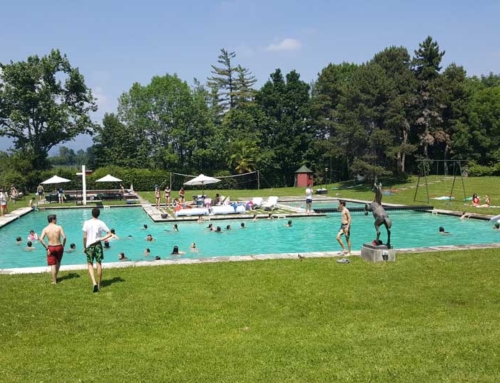 Pool party in Cremella